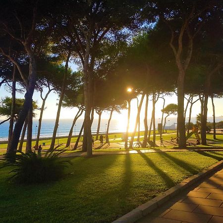 Appartement Loft - Garaje - Terraza Privada Junto Al Parque Y Playa à Conil De La Frontera Extérieur photo